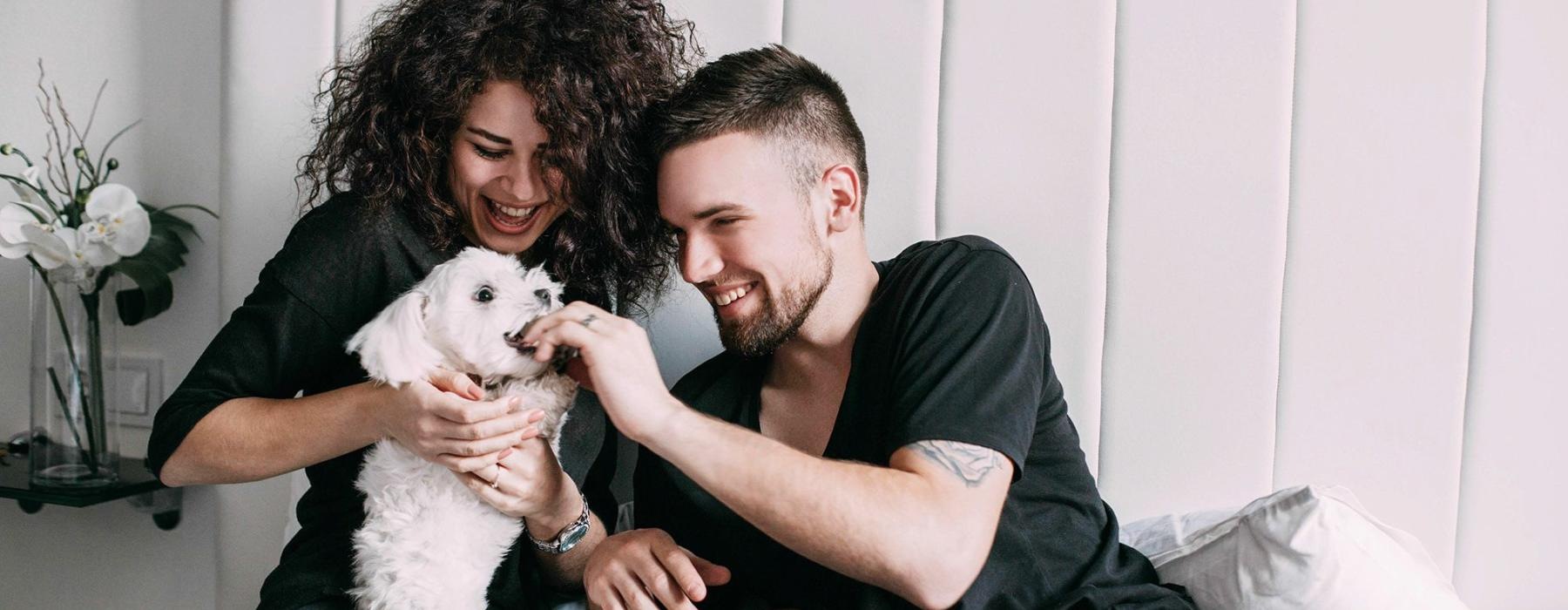 a man and woman sitting on a bed playing with a dog